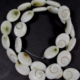 B103 Operculum Flat Oval Beads