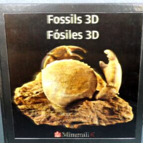 Fossils 3D