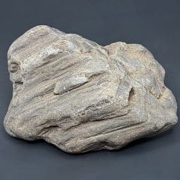 GR114 South Dakota Petrified Wood