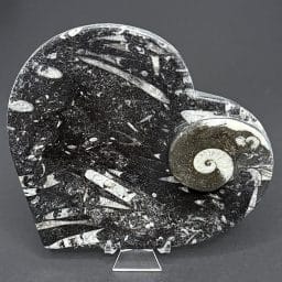 FO507 Fossil Rock Dish