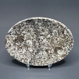 FO601 Fossil Rock Dish