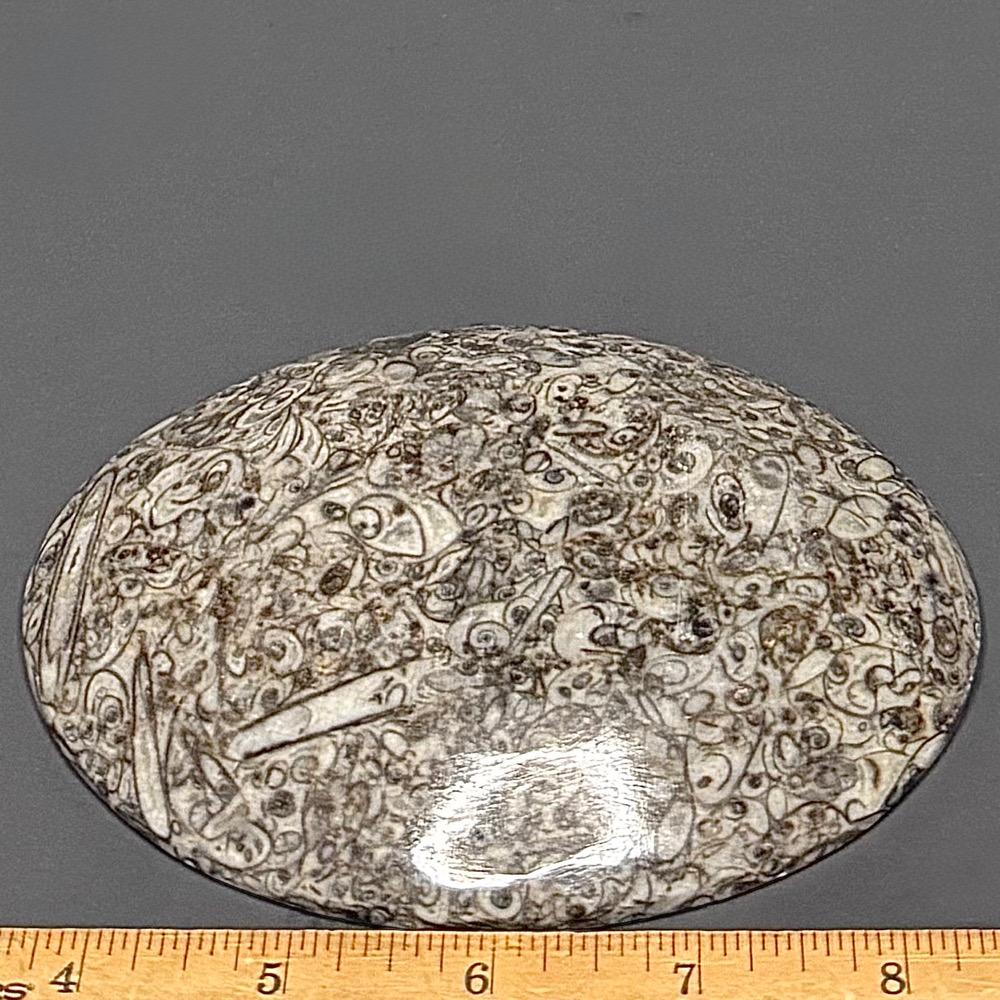 FO601 Fossil Rock Dish - Image 2