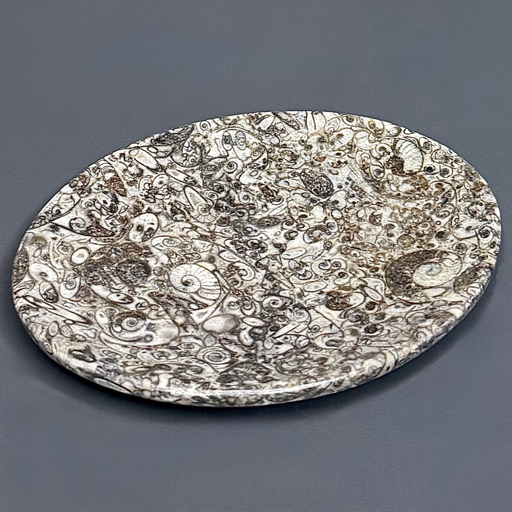 FO601 Fossil Rock Dish