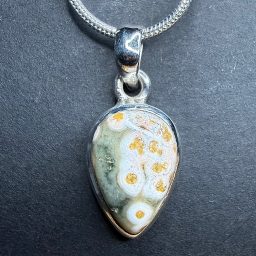 PN411 Ocean Jasper