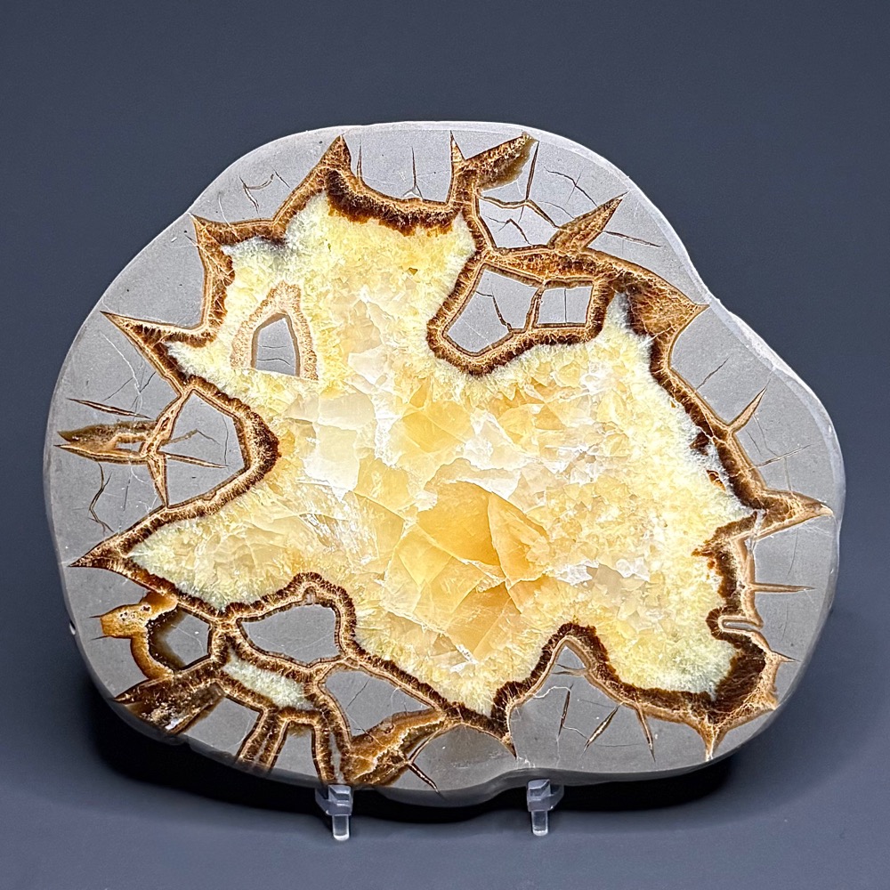 SEP100 Septarian Slab