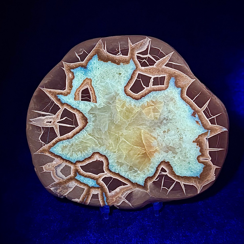 SEP100 Septarian Slab