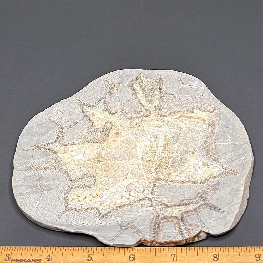 SEP100 Septarian Slab - Image 2