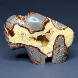 SEP202 Septarian Buffalo