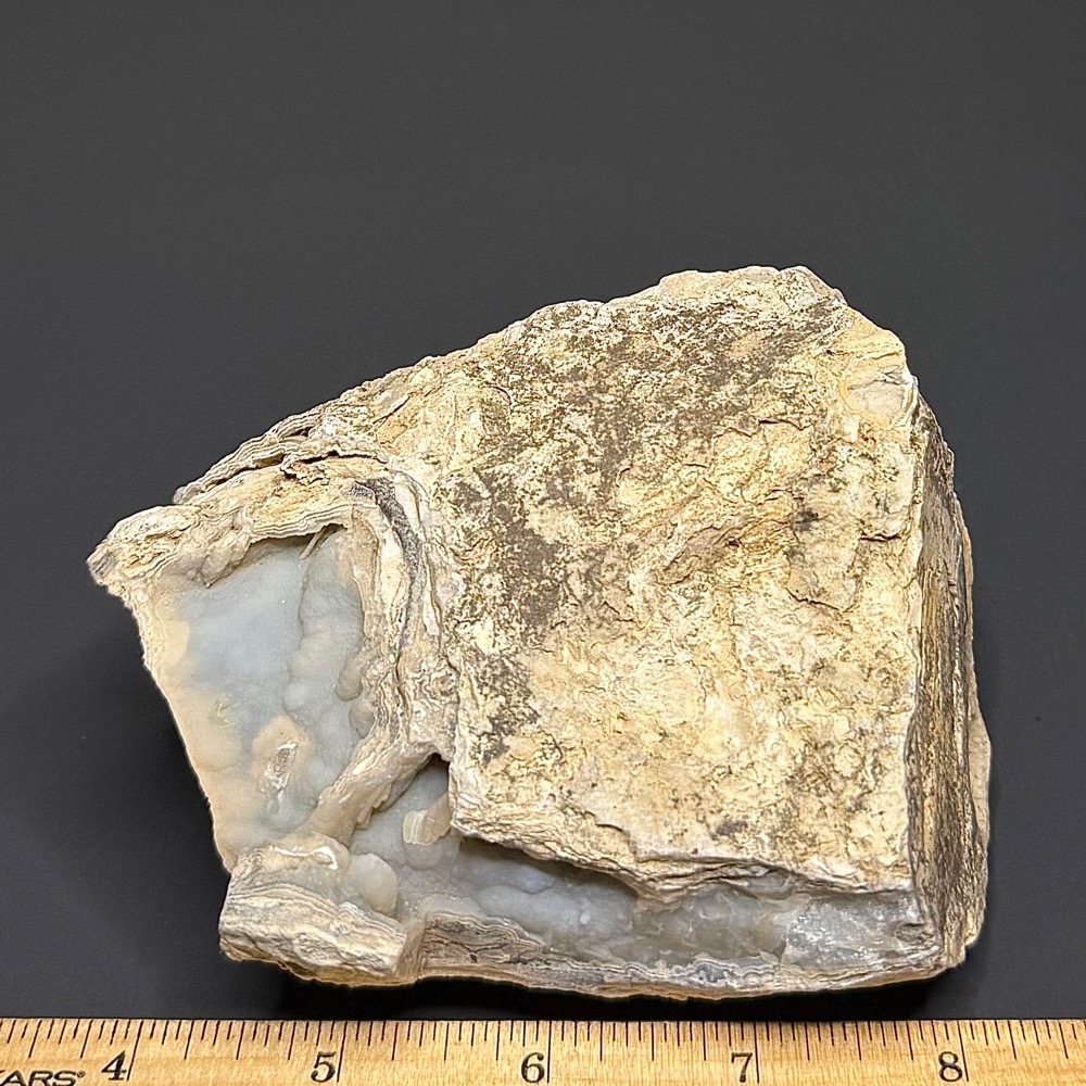PW106 Eden Valley Petrified Wood - Image 4