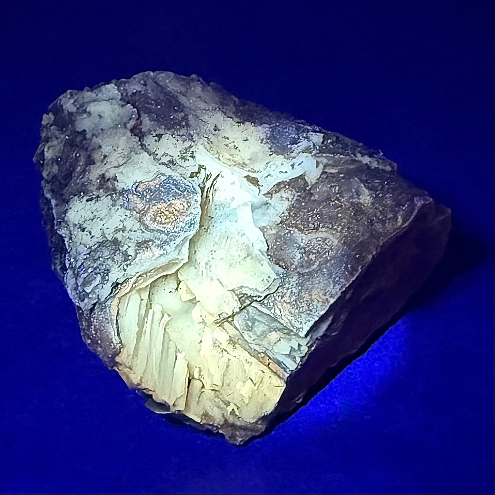 PW106 Eden Valley Petrified Wood