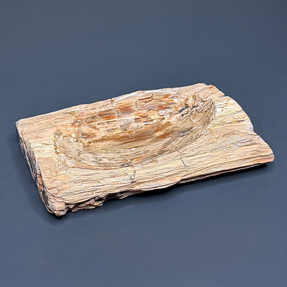 PW202 Madagascar Petrified Wood Bowl