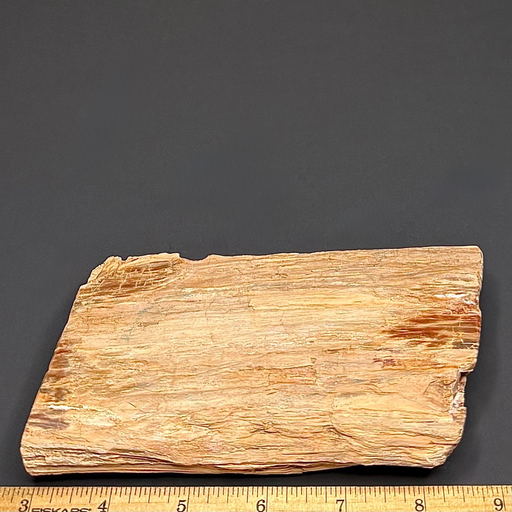 PW202 Madagascar Petrified Wood Bowl - Image 2