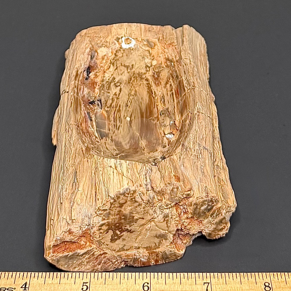 PW202 Madagascar Petrified Wood Bowl - Image 3