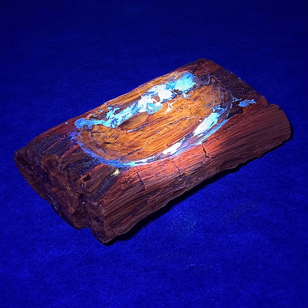 PW202 Madagascar Petrified Wood Bowl