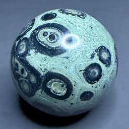 SP310 Kambaba Jasper