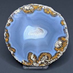PR309 Coconut Geode