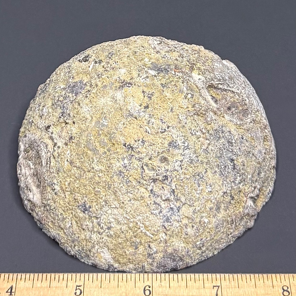 PR309 Coconut Geode