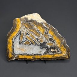 PR310 Deming Agate