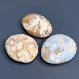 PR508 Flower Agate Palm Stones