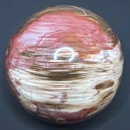 SP303 Petrified Wood