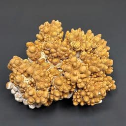 M716 Mushroom Aragonite