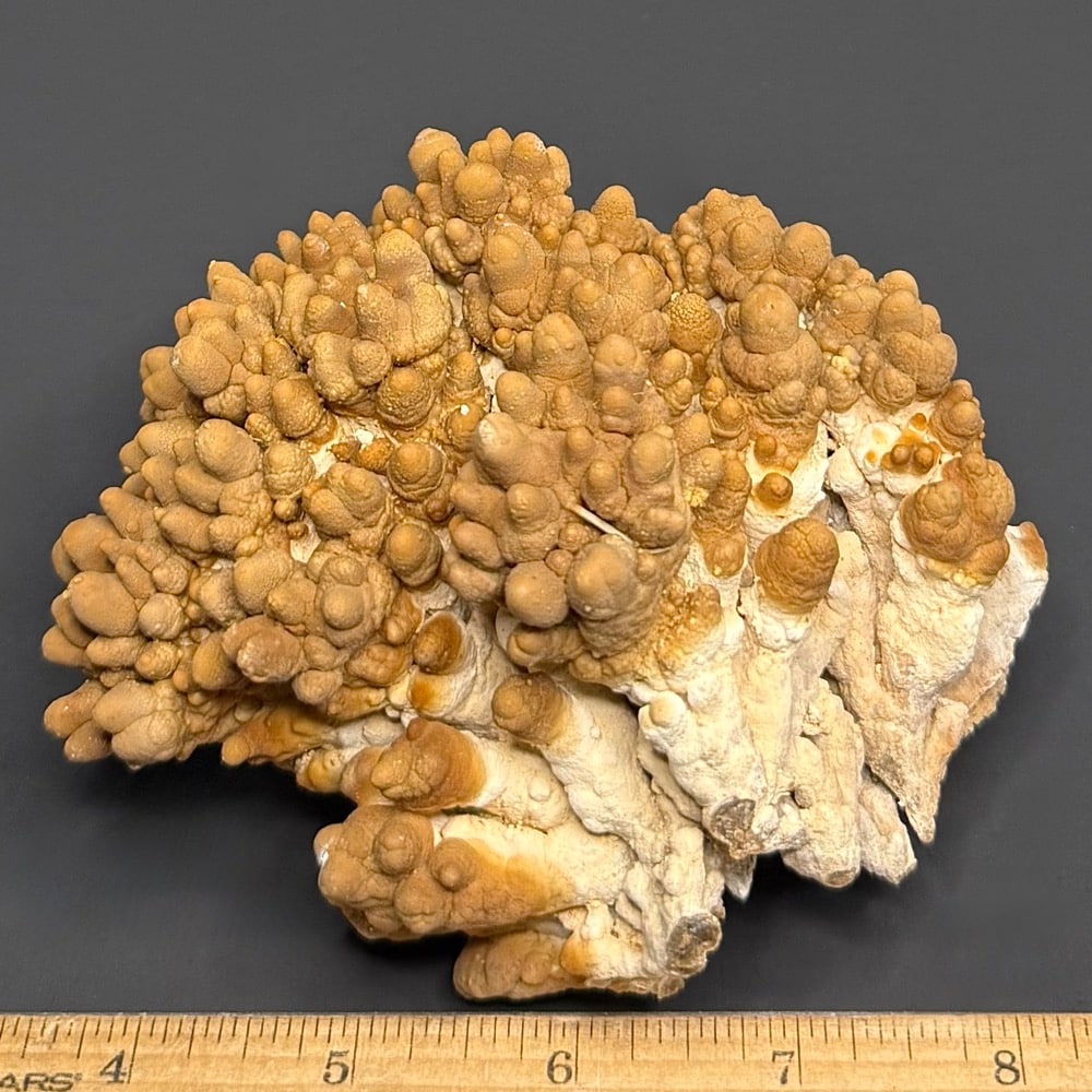 M716 Mushroom Aragonite - Image 2