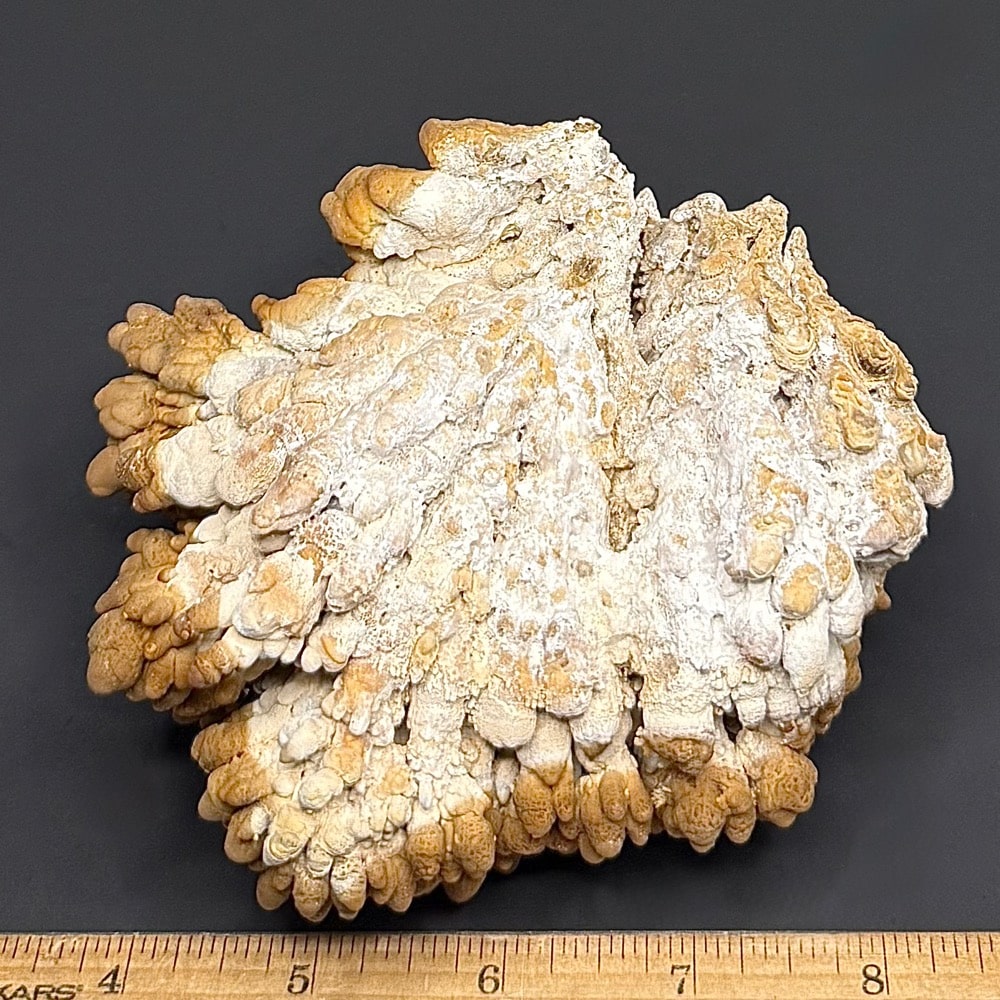 M716 Mushroom Aragonite - Image 3