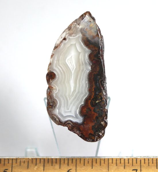 Mexican Agate Cabochon