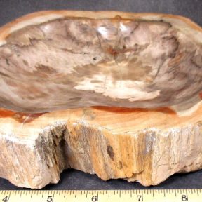 Madagascar Petrified Wood Bowl