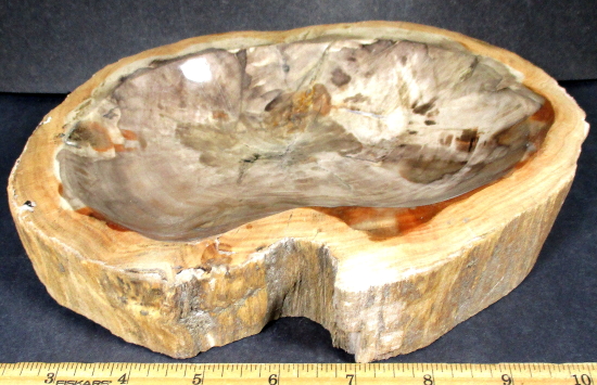 Madagascar Petrified Wood Bowl