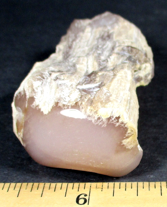 Nevada Pink Petrified Limb Cast