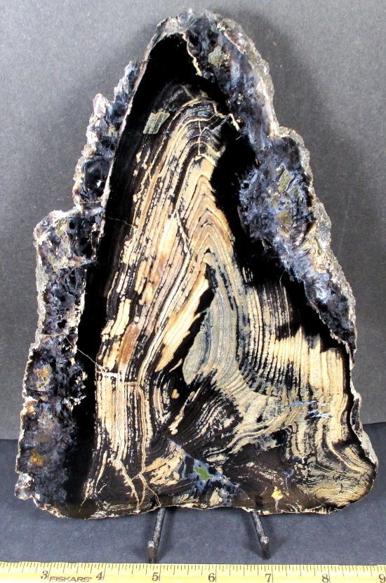 PW304 Nebraska Petrified Wood The Rock Shed