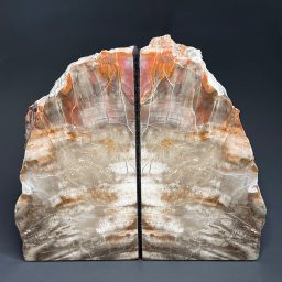 BK204 Arizona Petrified Wood Bookends