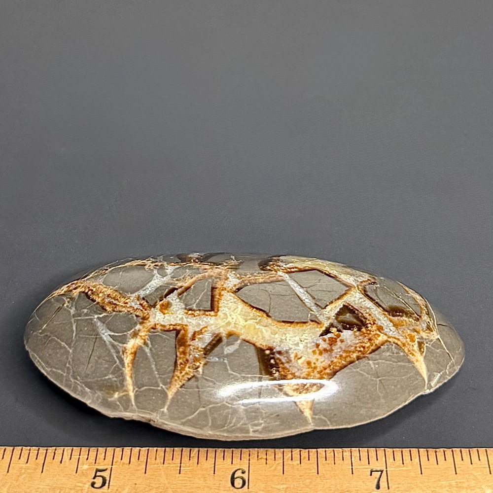 SEP200 Septarian Stone - Image 2