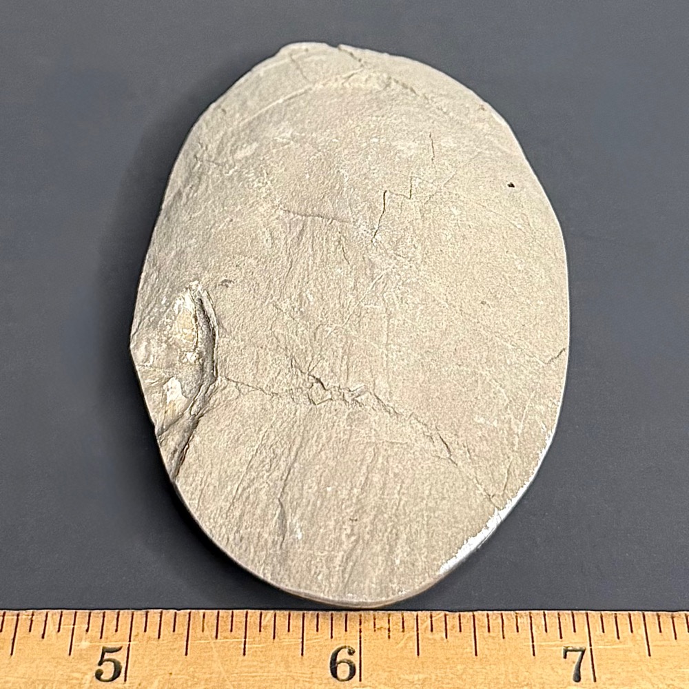 SEP200 Septarian Stone - Image 3