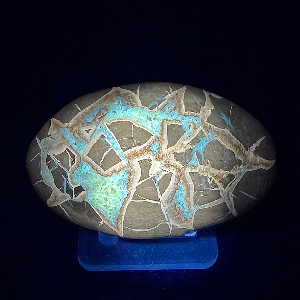 SEP200 Septarian Stone