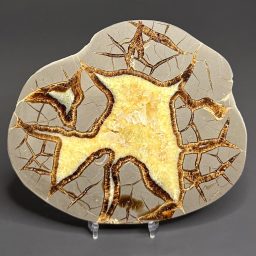 SEP400 Septarian Slab
