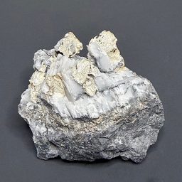 G300 Silver Specimen
