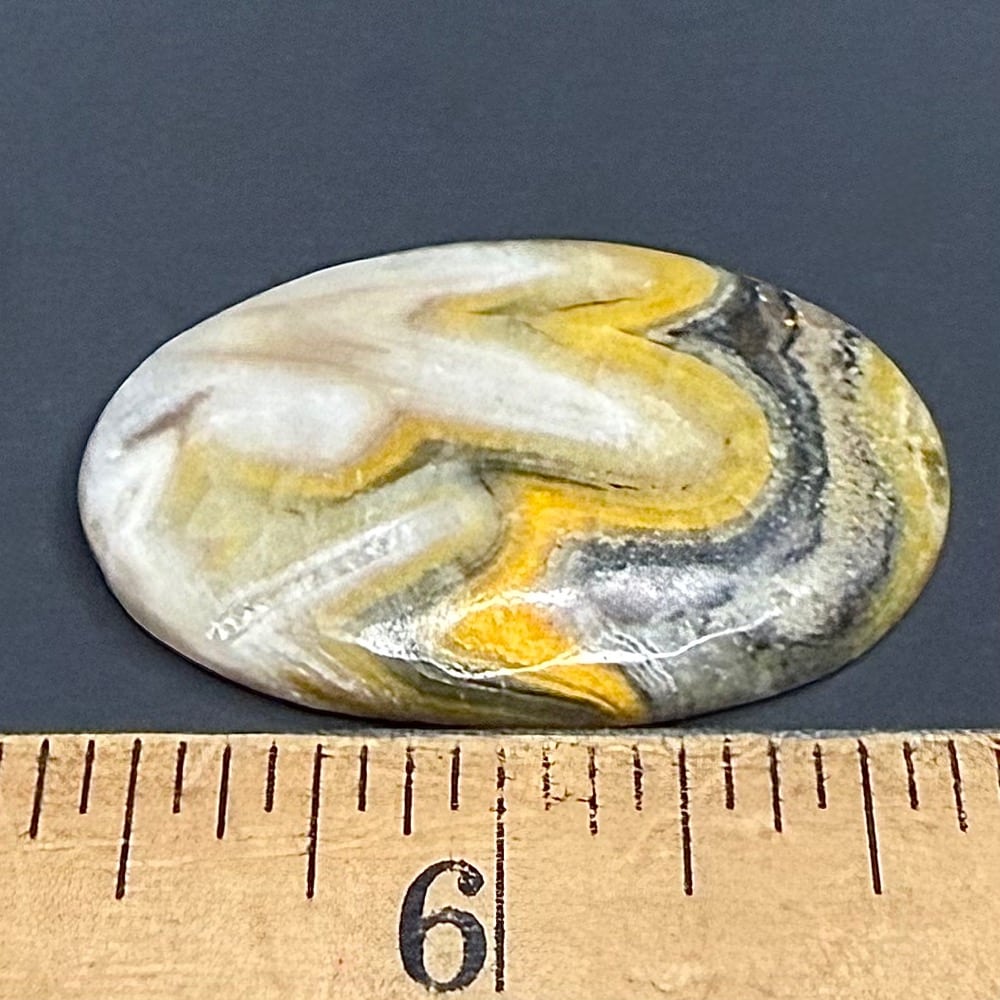 CB204 Bumble Bee Jasper
