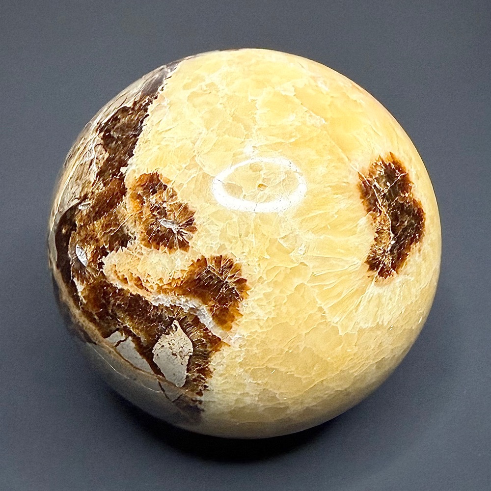 SP900 Septarian