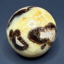 SP414 Septarian