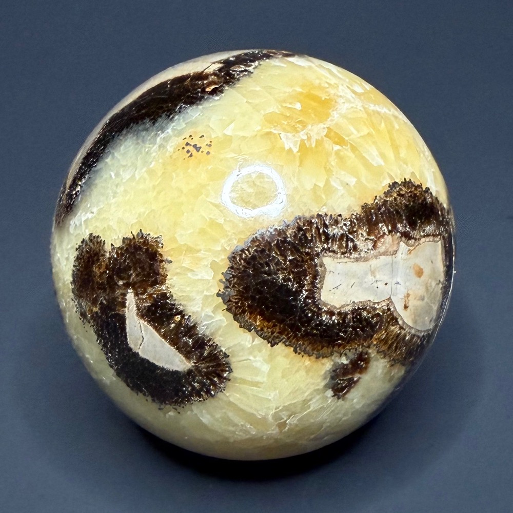 SP414 Septarian