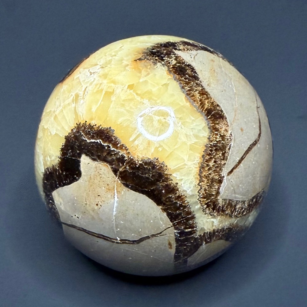 SP414 Septarian - Image 3