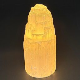 LT411 Rough Selenite Lamp