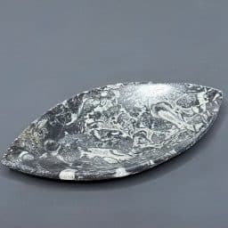 FO107 Fossil Rock Dish