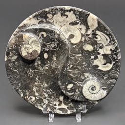 FO507 Fossil Rock Dish