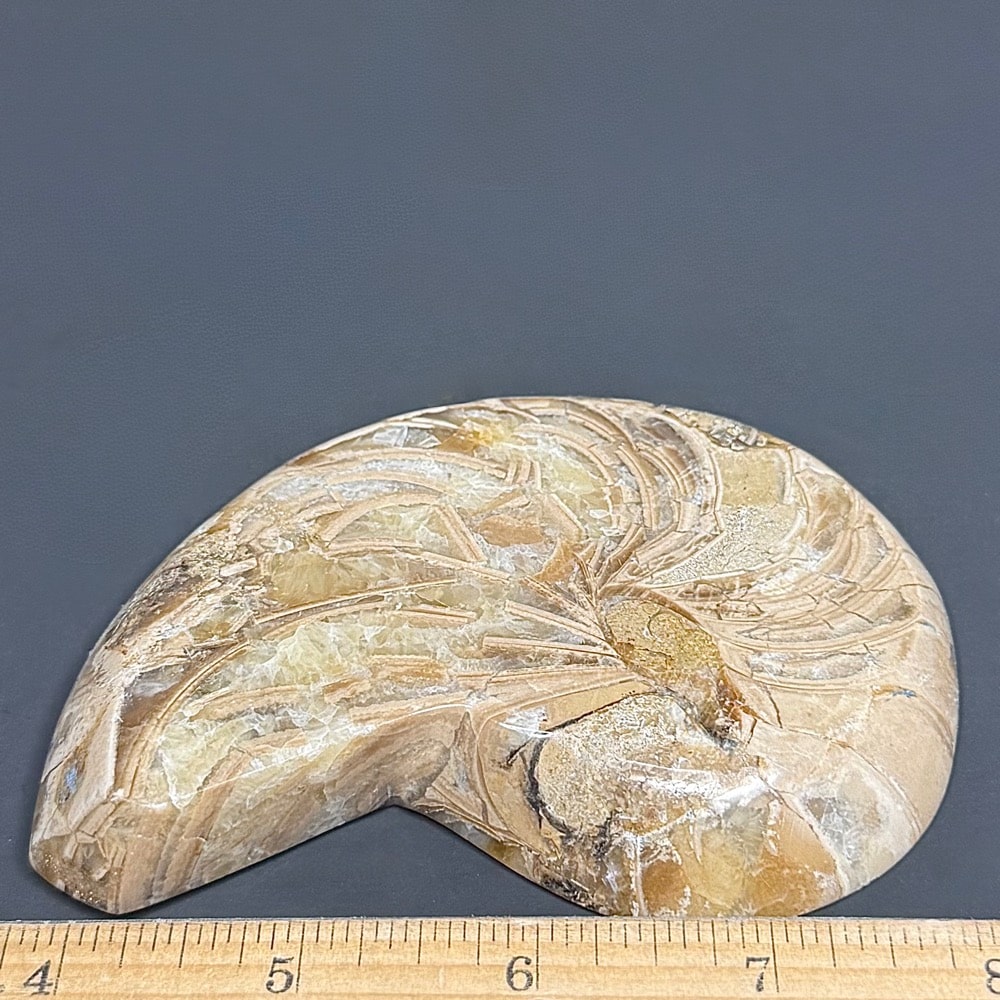FO601 Ammonite Bowl - Image 2