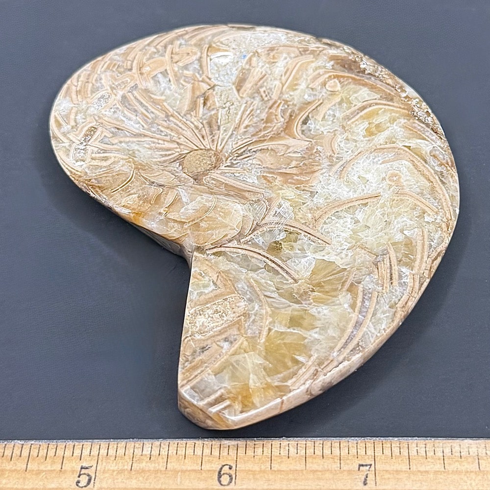 FO601 Ammonite Bowl - Image 3
