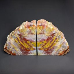 BK204 Arizona Petrified Wood Bookends
