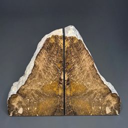 BK300 Petrified Wood Bookends